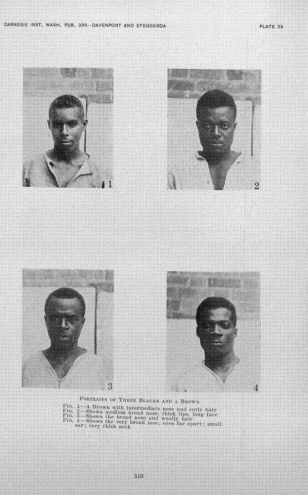 Davenport | Portraits of Three Blacks and a Brown