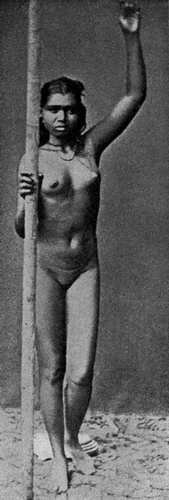 Рис. 58. 16-летняя сингалезска