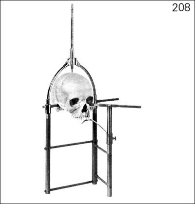 Краниофор (по Моллисону), специально для установки черепа в плоскости уши-глаза. Вес: 1,870 кг.